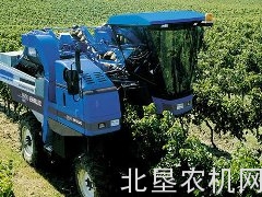 纽荷兰Braud7030M和8030L蓝莓收获机