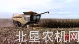 机械化收获玉米