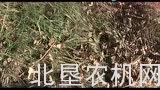 马斯奇奥GIRAFFINA系列割草机介绍