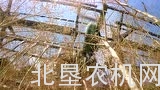 约翰迪尔S700收割机操作介绍二