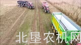 凯斯玉米收获机作业
