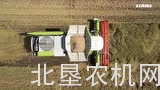 克拉斯Lexion760收割机收获小麦