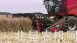 麦克唐FD1挠性割台收获麦子
