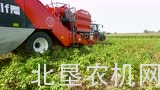 迪沃夫Torro马铃薯收获机
