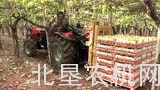 爱科旗下麦赛福格森产品介绍