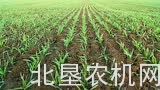 爱科全球种植解决方案