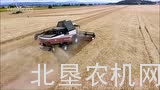罗斯托夫RSM161收割机作业视频