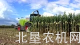 克拉斯970青贮收获机