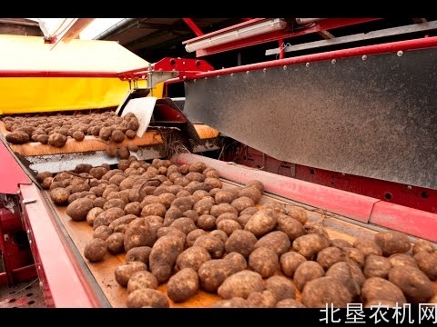 格立莫马铃薯收获机