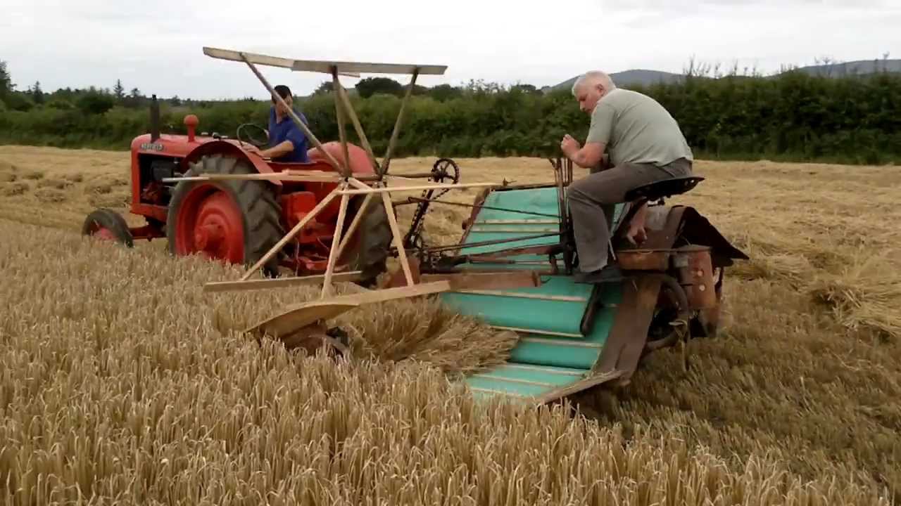 割捆机收割燕麦