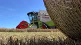 克拉斯LEXION650收割机作业实拍