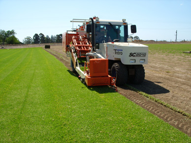 Trebro公司SC2010草坪起收机