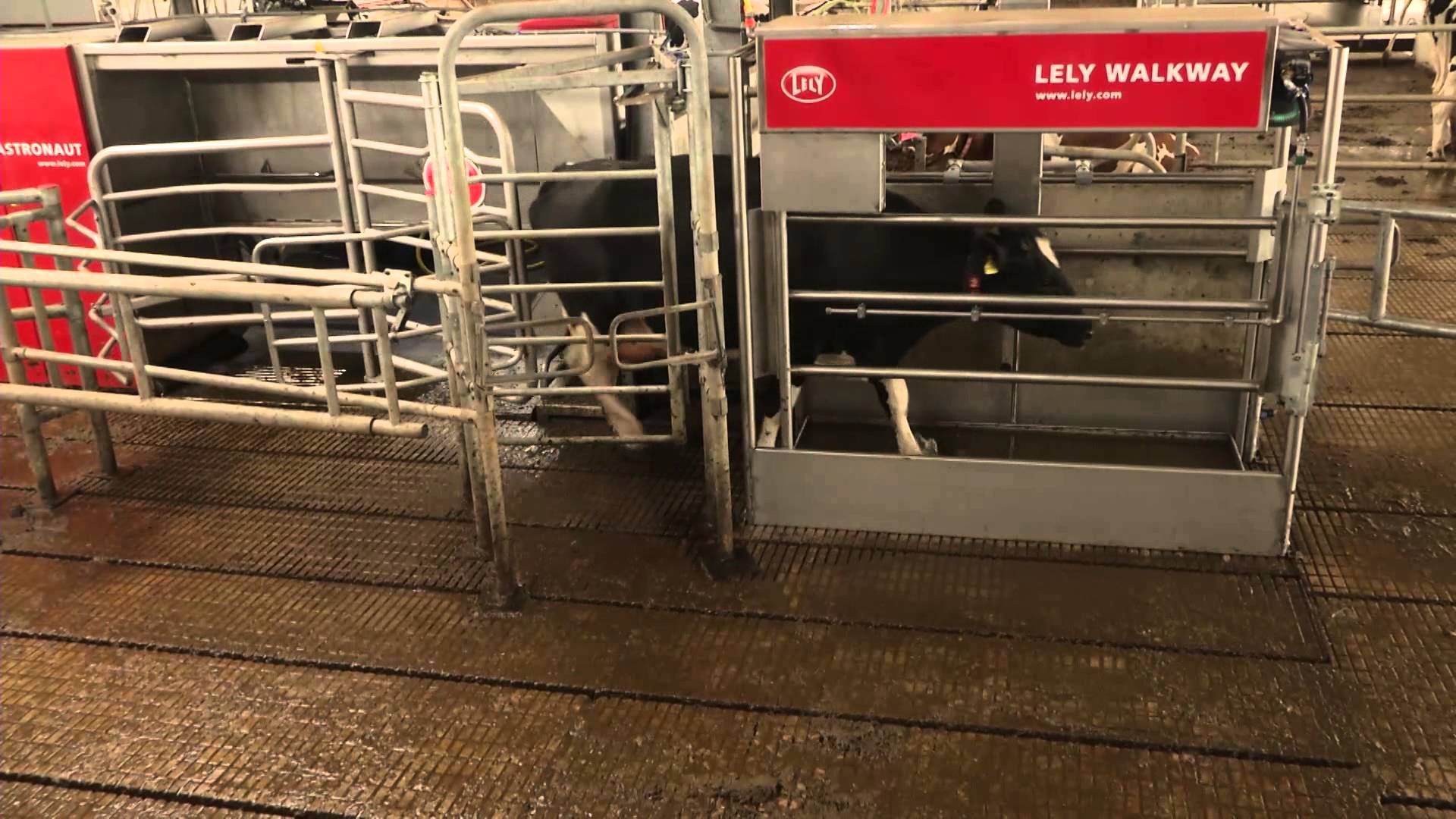 莱利公司产品为客户带来方便