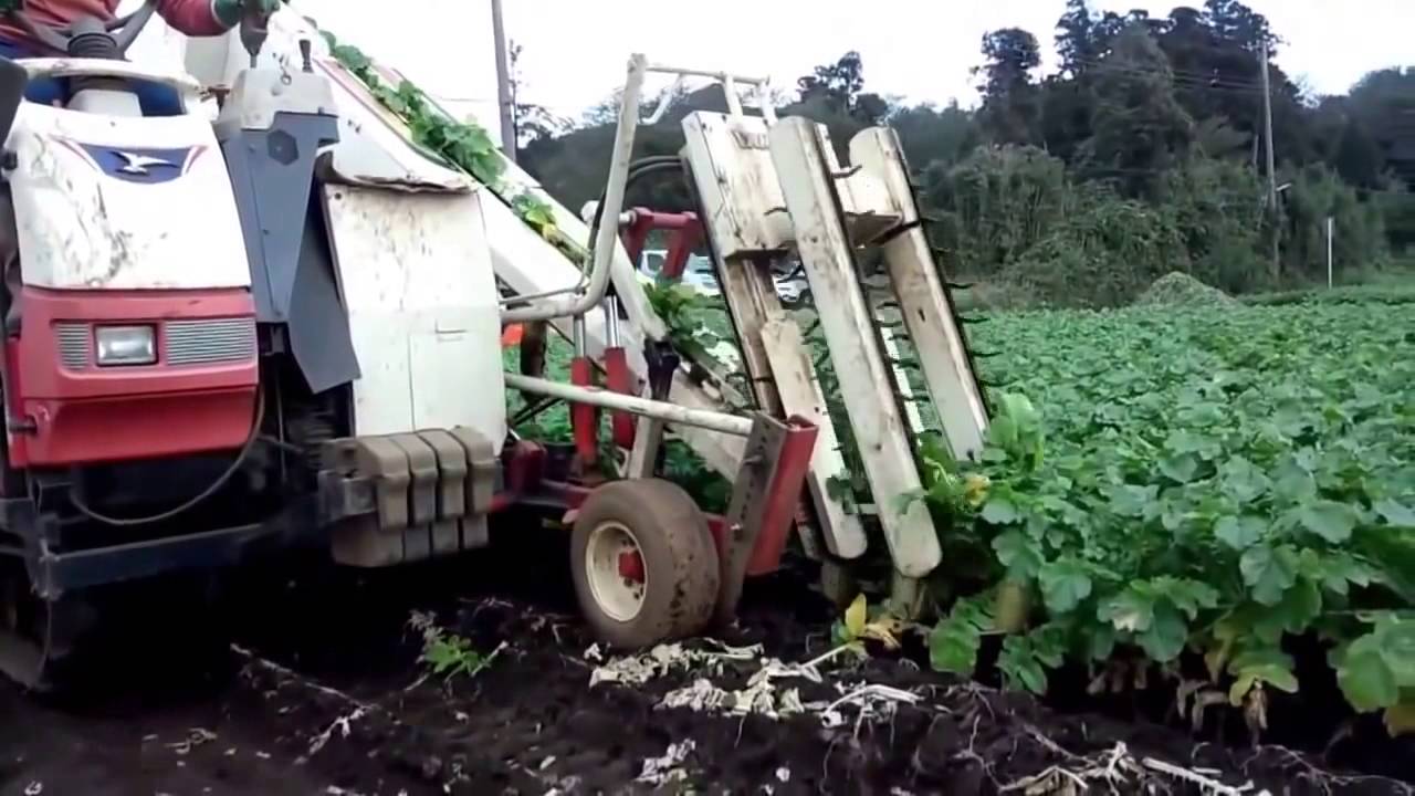 洋马DS1J型萝卜收获机
