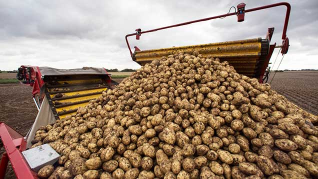 格立莫牵引式马铃薯收获机