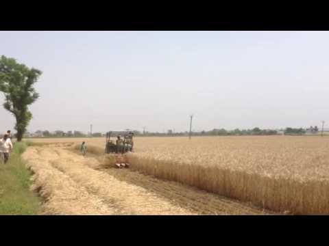 农民自制小麦割铺机