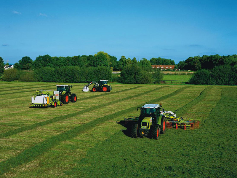 克拉斯主题农场