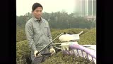 采茶机的操作与保养