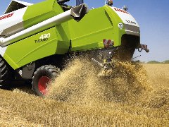 克拉斯TUCANO450收割机作业实拍