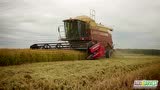 纽荷兰L627MCS收割机作业