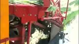 Koppert公司小葱收获机（二）