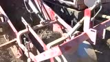 Wood Prairie农场土豆收获视频