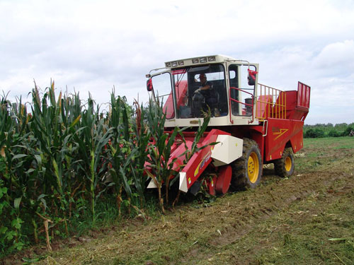 雷沃农业装备新型玉米机保养二