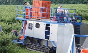 AG Harvester公司蓝莓收获机