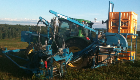 背负式野生蓝莓收获机实拍