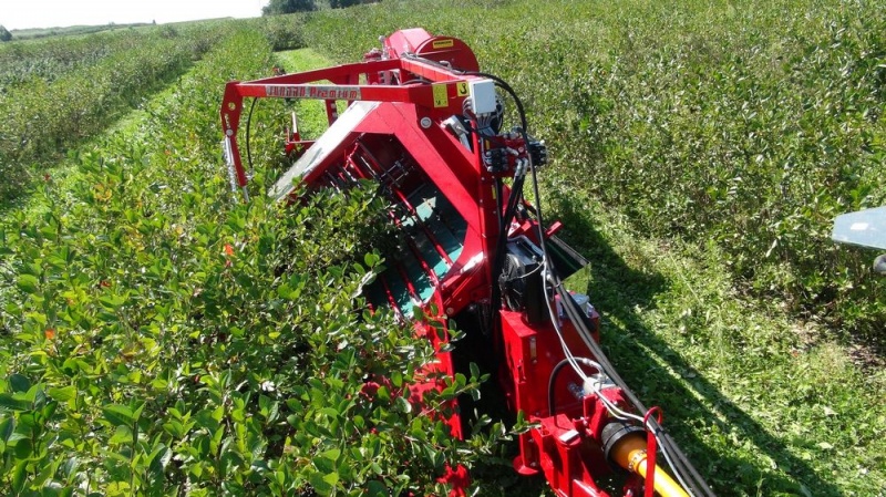 JOANNA-3牵引式蓝莓收获机