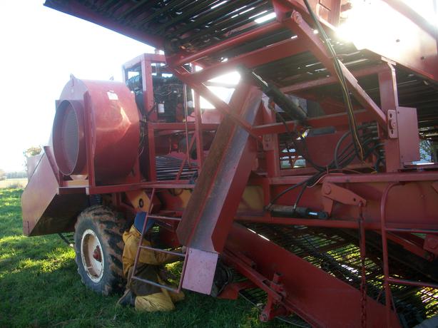 Allan公司8行马铃薯收获机