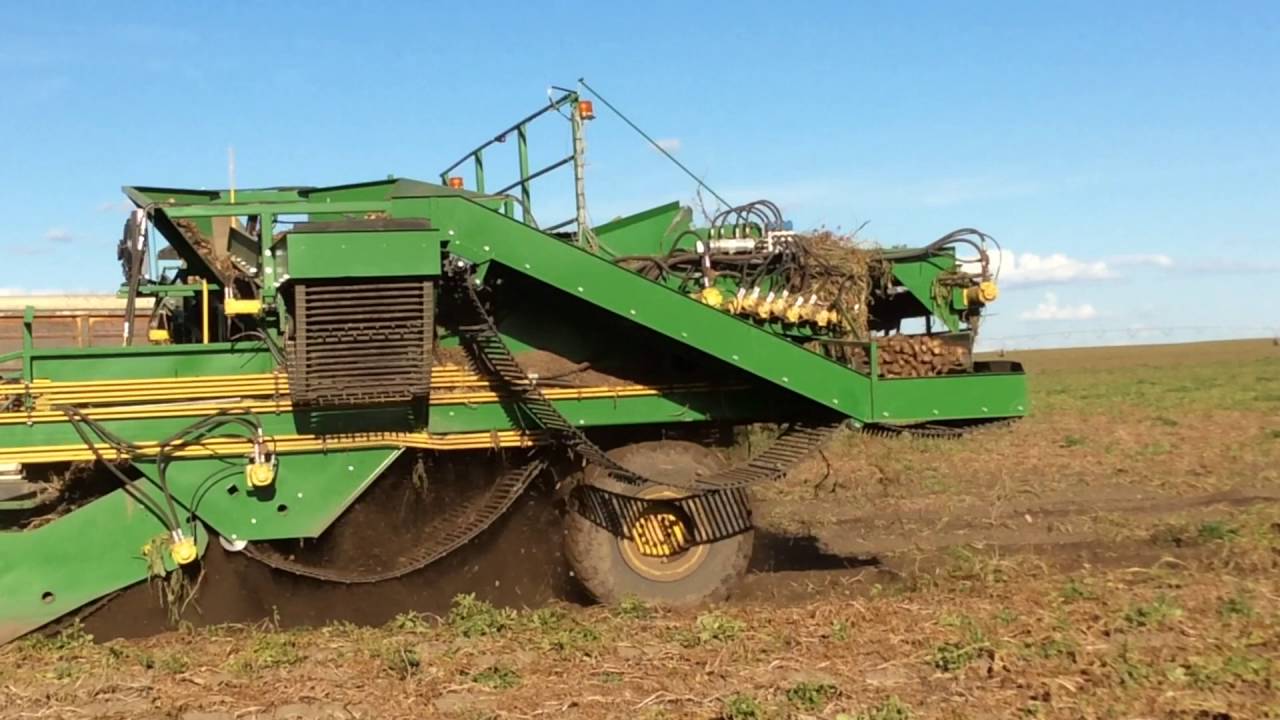 Dirty Digger公司6行马铃薯收获机