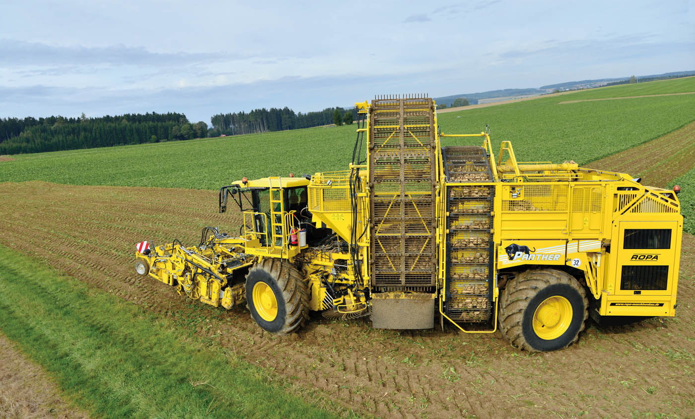 罗霸产品30周年年会