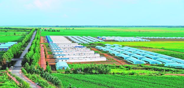 八一农大互联网+现代农业深度解析