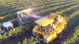 Riverina酒庄葡萄收获航拍画面