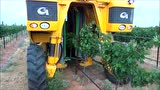 Gregoire公司G8.260自走式葡萄收获机