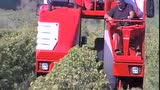 各种自走式葡萄收获机合集