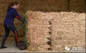 爱科牧草利器亮相草都