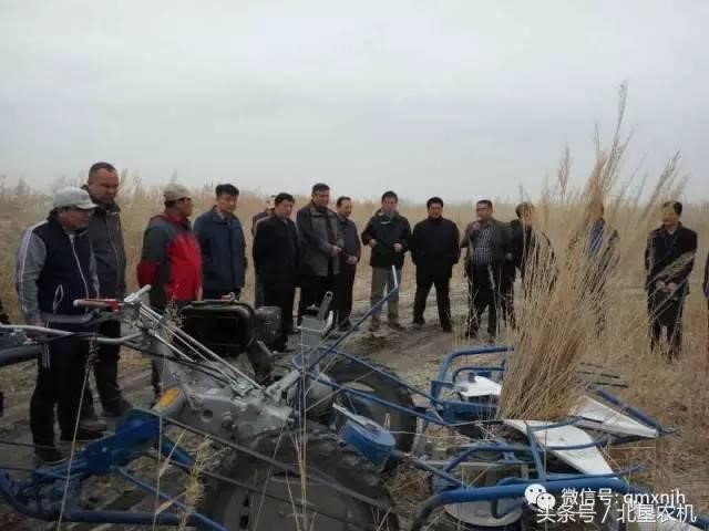 意大利芦苇割捆机作业现场演示会在新疆且末县召开