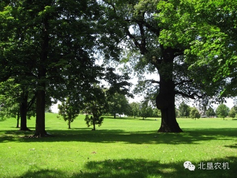 小麦免耕播种机的使用维护 