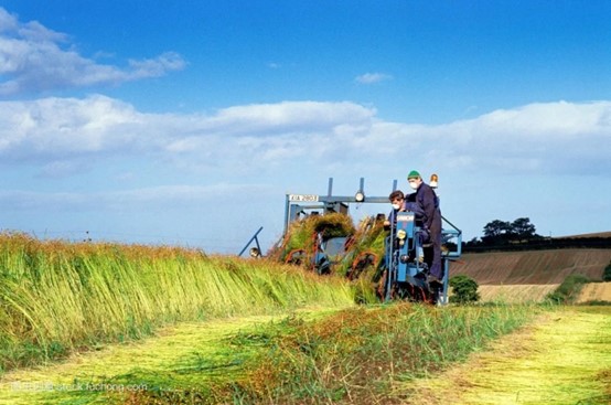 【农业农机标准化24】——亚麻生产技术规程