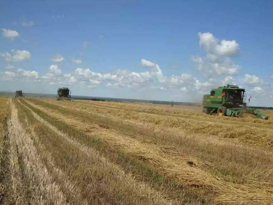 【农业农机标准化40】——麦豆拾禾、联合作业质量标准