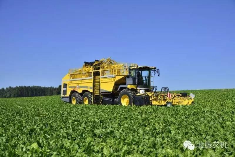 黑龙江省甜菜生产优化升级的对策