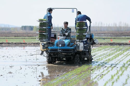 龙江大地掀起春耕高潮