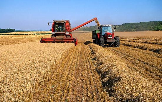 特殊情况下小麦联合收割机的操作