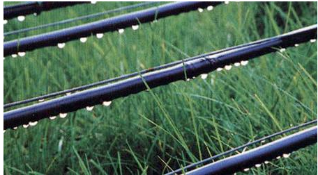 山东省节水农业和水肥一体化技术创新成效显著