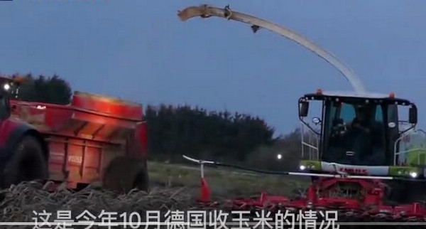 克拉斯JAGUAR 950青贮机完胜烂泥田 