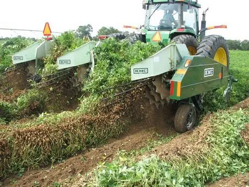 花生机械化生产技术要点