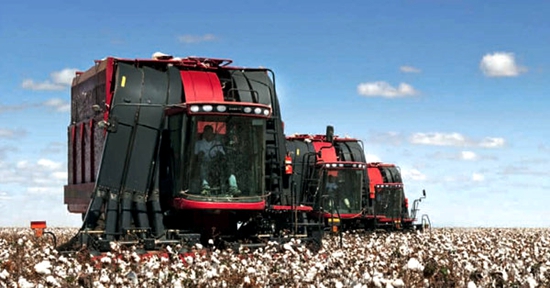 凯斯讲堂：纠正采棉机采摘问题