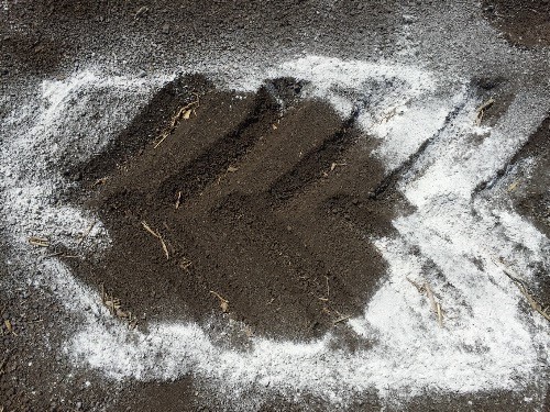 米其林农用轮胎演示会在二龙山农场成功举办 